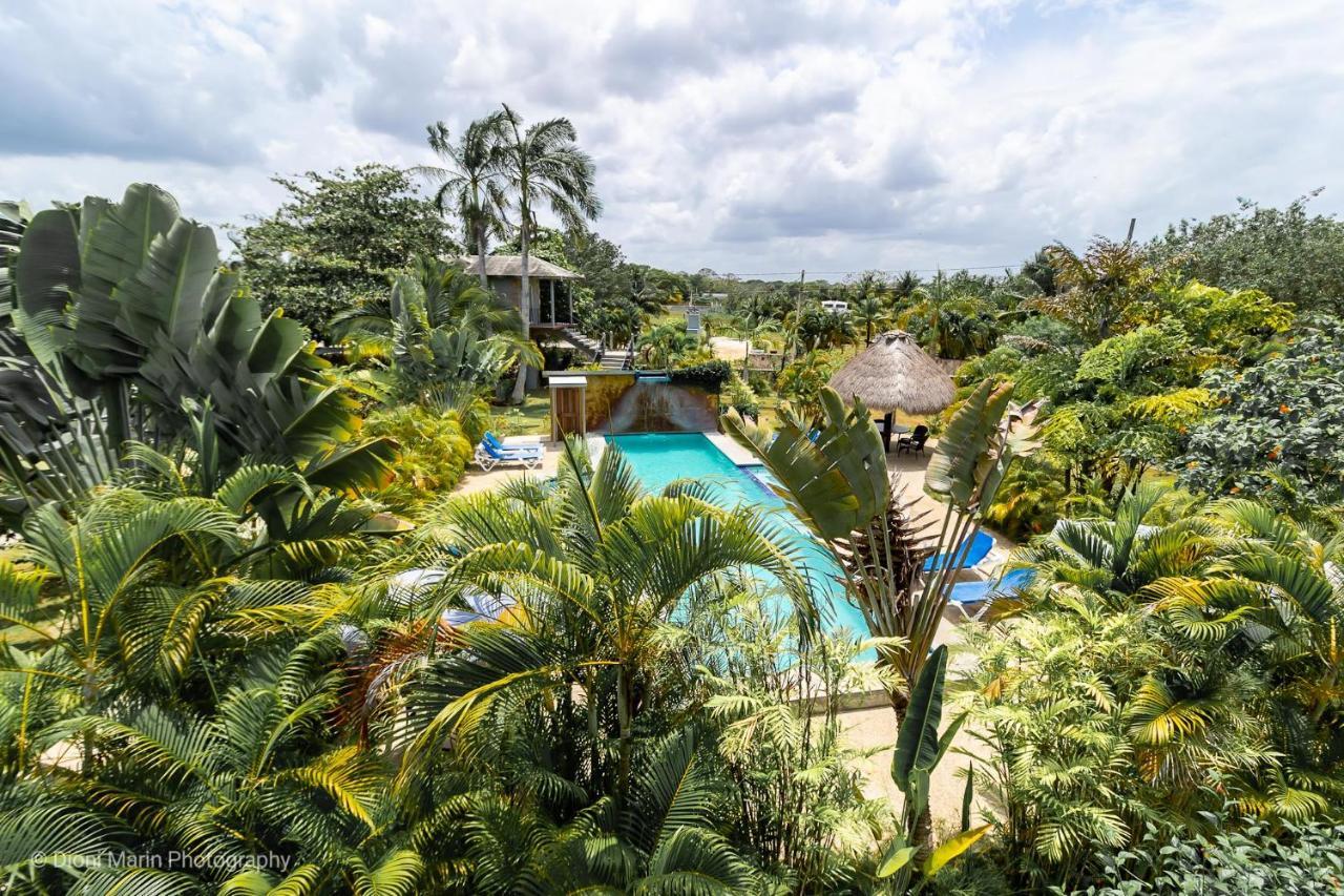 Almond Tree Hotel Resort Corozal Exterior foto