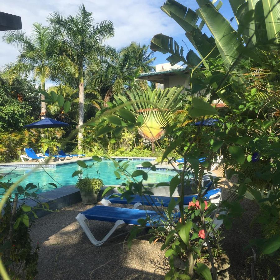 Almond Tree Hotel Resort Corozal Exterior foto